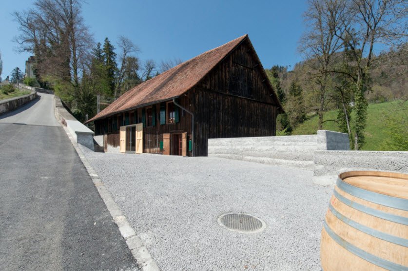 Gut Grünenstein AG, Balgach, Switzerland